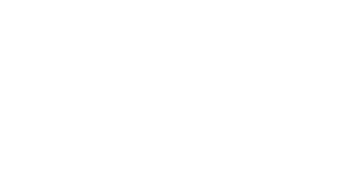 Holistic talk logo